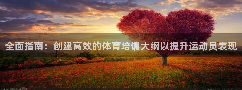 焦点娱乐加速器：全面指南：创建高效的体育培训大纲以提