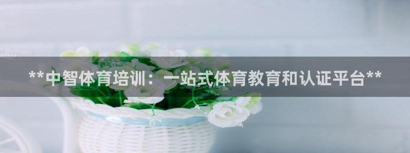 焦点娱乐软件版本：**中智体育培训：一站式体育教育和