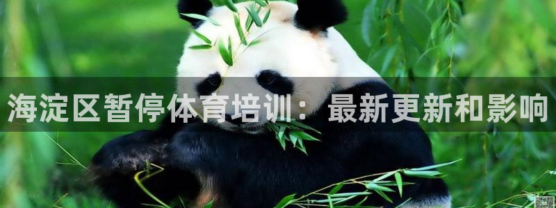 焦点娱乐公司的发展历程是什么