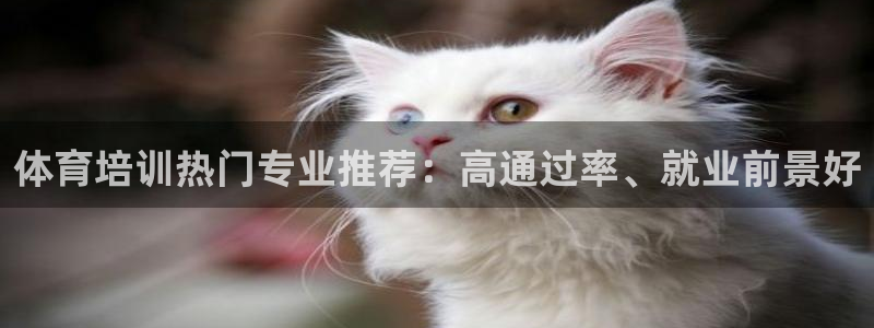 焦点娱乐：体育培训热门专业推荐：高通过率、就业前景好