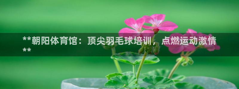 焦点娱乐平台是正规的吗