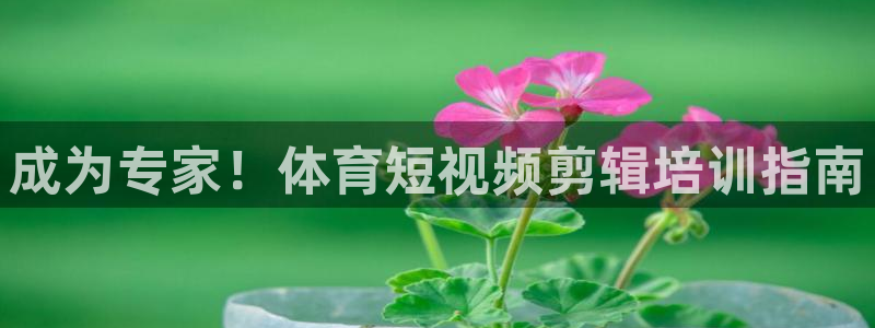 焦点娱乐传媒有限公司官网