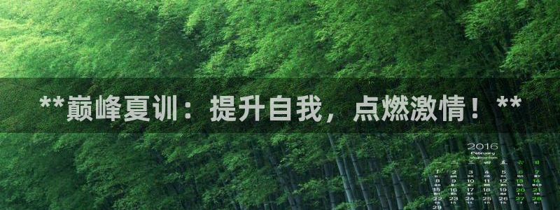 焦点娱乐传媒有限公司招聘信息