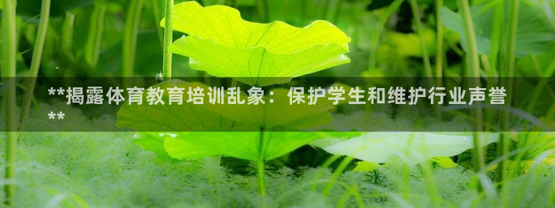 焦点娱乐官方网站下载安装手机版：**揭露体育教育培训
