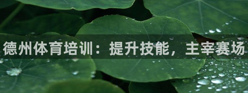 焦点娱乐下载手机版官网：德州体育培训：提升技能，主宰