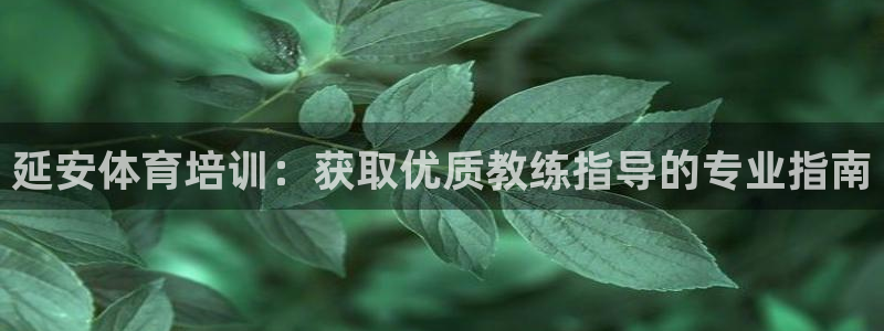 焦点娱乐app下载安装方式是什么：延安体育培训：获取