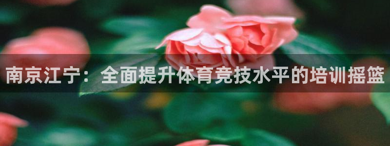 焦点娱乐平台注册账号安全吗知乎：南京江宁：全面提升体