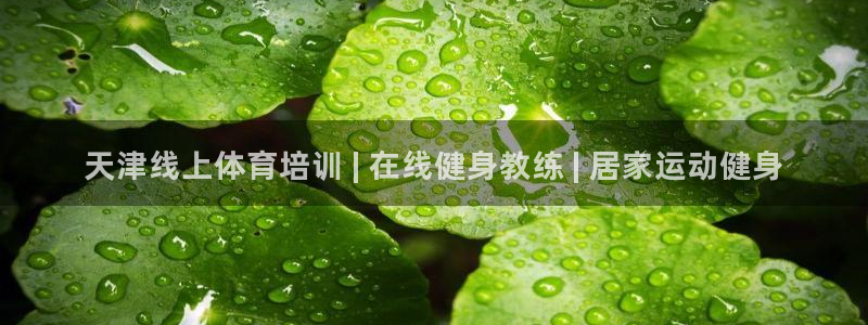 焦点娱乐游戏怎么玩：天津线上体育培训 | 在线健身教