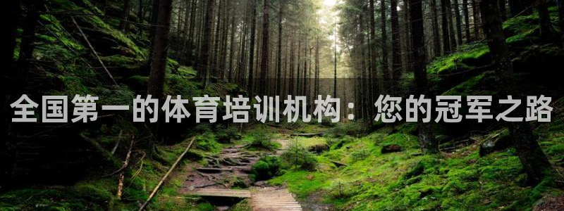 焦点娱乐vs皇族不败神话小说