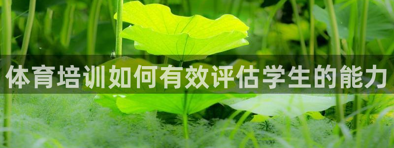 焦点娱乐传媒有限公司怎么样啊知乎：体育培训如何有效评