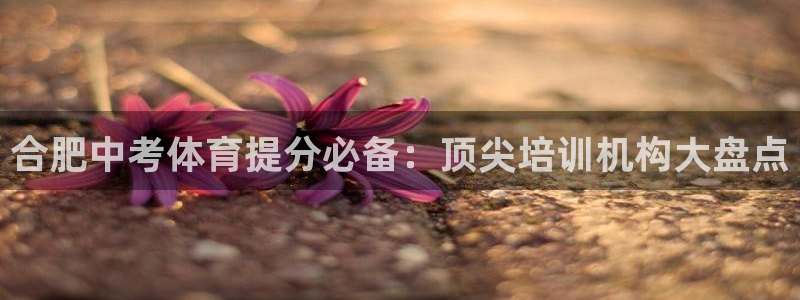 焦点娱乐传媒：合肥中考体育提分必备：顶尖培训机构大盘