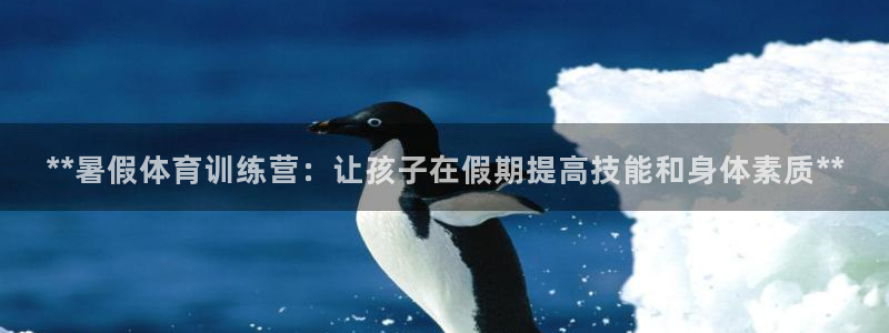 焦点娱乐怎么找不到了：**暑假体育训练营：让孩子在假期提高技