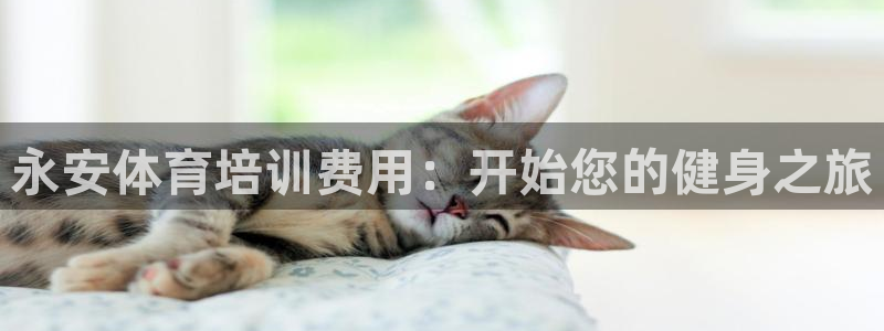 焦点娱乐游戏攻略