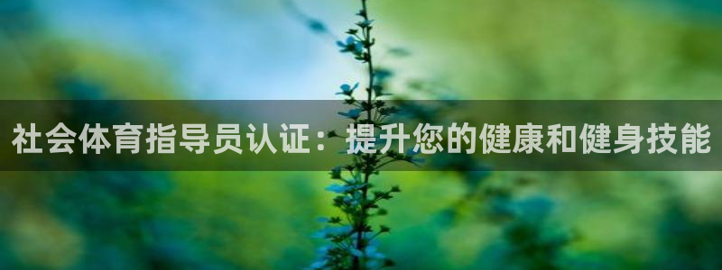 焦点娱乐怎么找