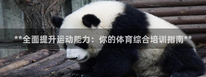 焦点娱乐软件版本下载：**全面提升运动能力：你的体育