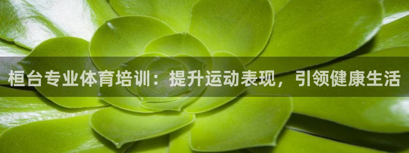 焦点娱乐网站下载地址是多少：桓台专业体育培训：提升运