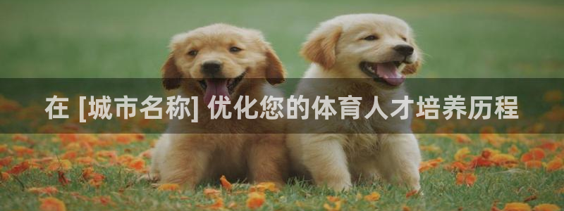 焦点娱乐怎么找导师：在 [城市名称] 优化您的体育人