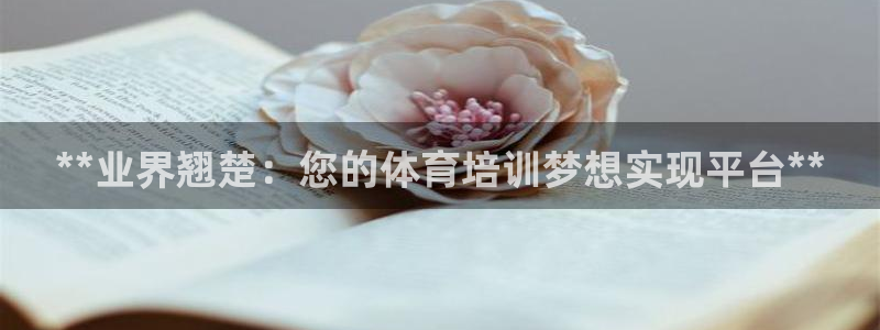 焦点娱乐传媒有限公司怎么样啊知乎