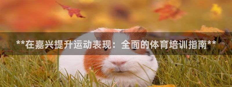 焦点娱乐平台登录不了怎么回事：**在嘉兴提升运动表现