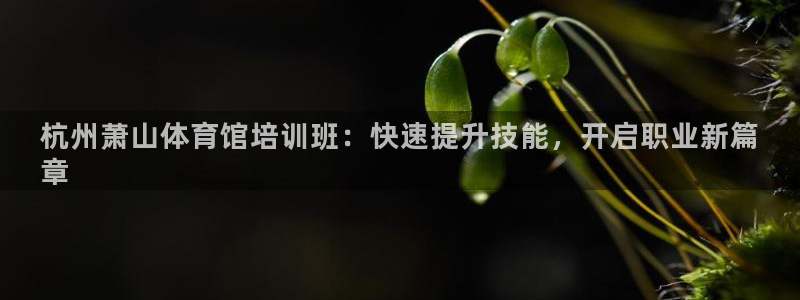 焦点娱乐平台客服电话号码：杭州萧山体育馆培训班：快速