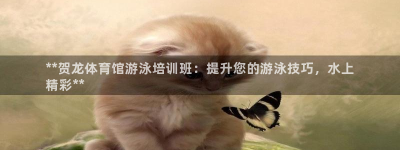 焦点娱乐官网首页入口：**贺龙体育馆游泳培训班：提升