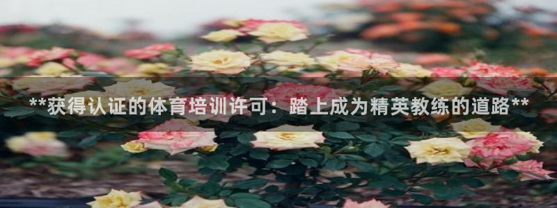 焦点娱乐开发：**获得认证的体育培训许可：踏上成为精