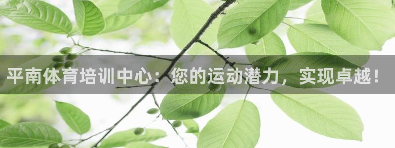 焦点娱乐如何注册账号和密码：平南体育培训中心：您的运