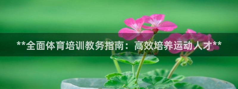 焦点娱乐拉菲11：**全面体育培训教务指南：高效培养