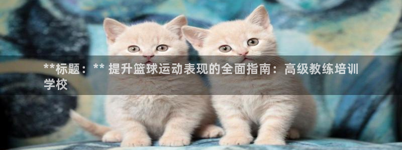 焦点娱乐官方网站首页入口在线观看：**标题：** 提