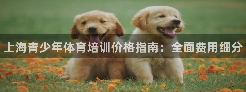 焦点娱乐说说怎么写：上海青少年体育培训价格指南：全面