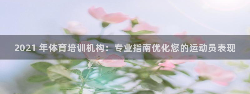 焦点娱乐网站下载地址大全：2021 年体育培训机构：