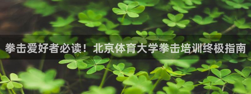 焦点娱乐全国总冠军都有谁：拳击爱好者必读！北京体育大