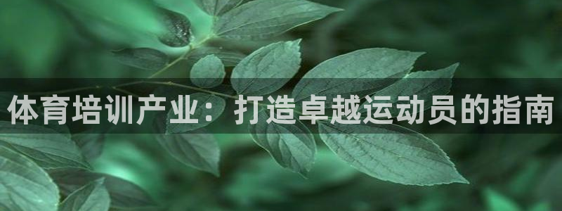 焦点娱乐星的视频：体育培训产业：打造卓越运动员的指南