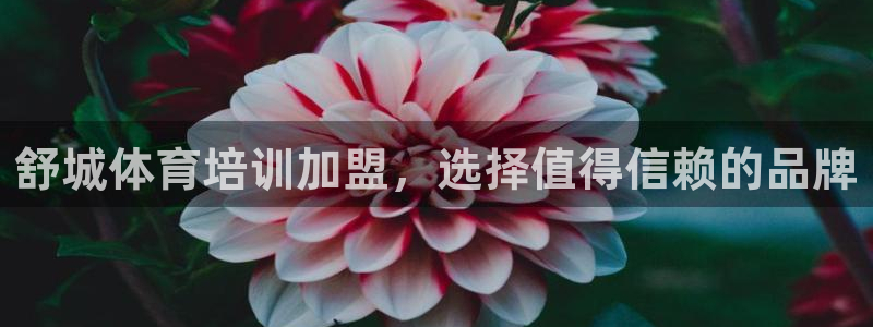 焦点娱乐平台客服：舒城体育培训加盟，选择值得信赖的品