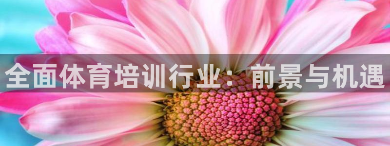 焦点娱乐全国总冠军是谁：全面体育培训行业：前景与机遇