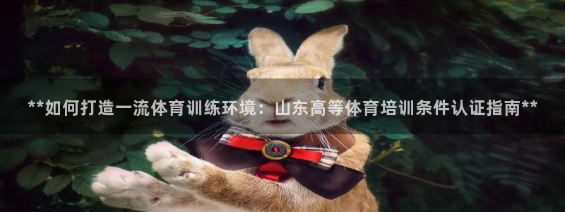 焦点娱乐软件版本大全：**如何打造一流体育训练环境：