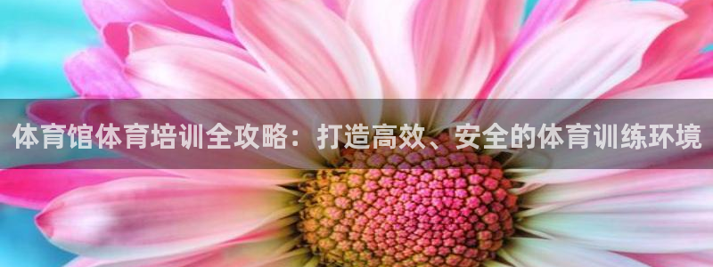 焦点娱乐全国总冠军有哪些：体育馆体育培训全攻略：打造