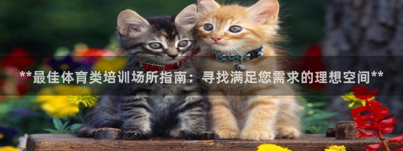 焦点娱乐官方网站首页入口下载：**最佳体育类培训场所