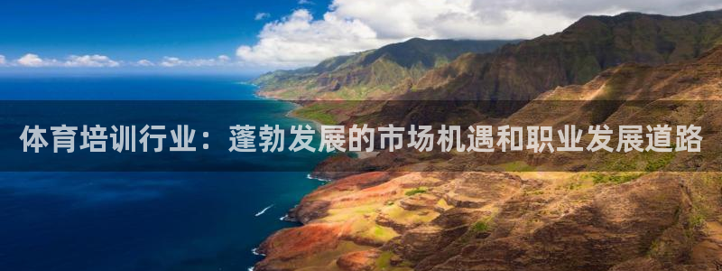 焦点娱乐直属：体育培训行业：蓬勃发展的市场机遇和职业