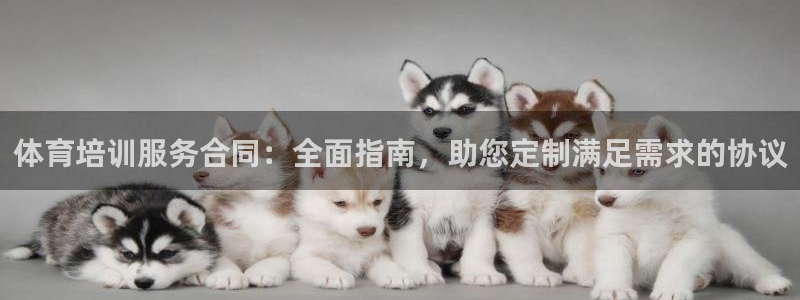 焦点娱乐全国总冠军是谁：体育培训服务合同：全面指南，