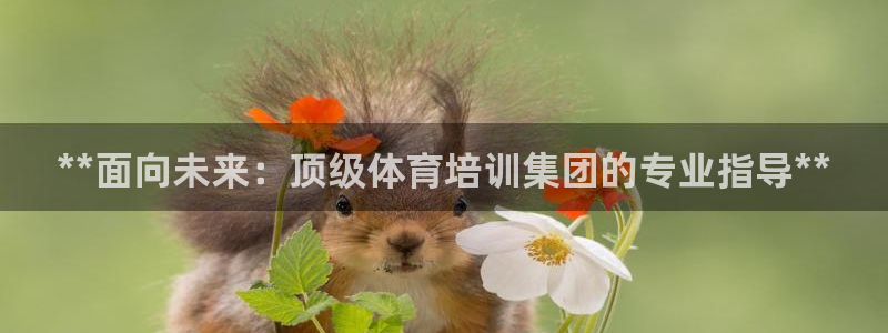 焦点娱乐官网首页下载：**面向未来：顶级体育培训集团的专业指
