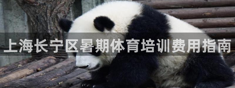 焦点娱乐公司：上海长宁区暑期体育培训费用指南
