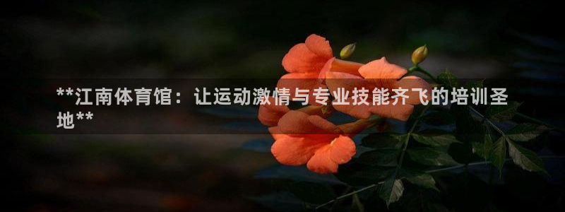 焦点娱乐是哪个公司的软件：**江南体育馆：让运动激情与专业技