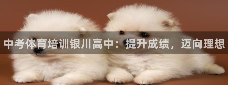 焦点娱乐网站下载地址在哪：中考体育培训银川高中：提升成绩，迈