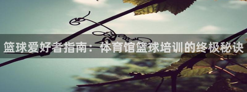 焦点娱乐官方网站入口下载安装