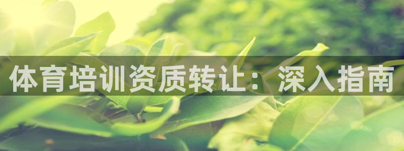 焦点娱乐平台主管：体育培训资质转让：深入指南