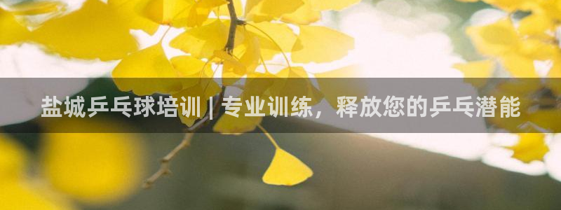 焦点娱乐平台注册账号安全吗：盐城乒乓球培训 | 专业