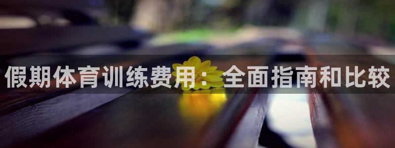 焦点娱乐软件版本大全：假期体育训练费用：全面指南和比