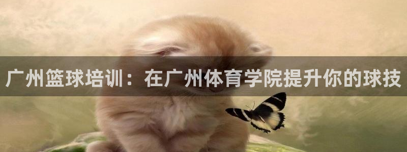 焦点娱乐传媒有限公司怎么样呀：广州篮球培训：在广州体