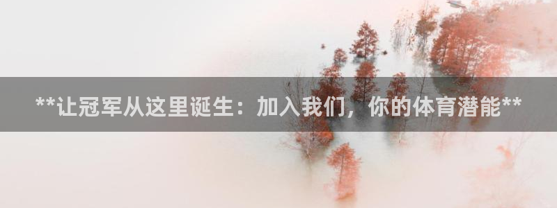 焦点娱乐传媒有限公司怎么样：**让冠军从这里诞生：加
